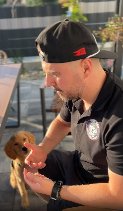 nouhau-szkolenia rzeszow trener