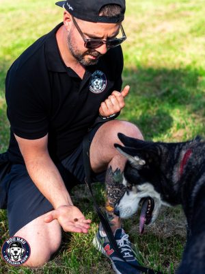 Nou HauTrener Alek Trenuje